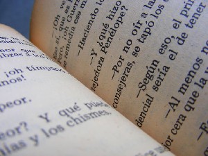 biblioteca 089 copy.jpg